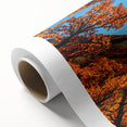 Art deco poster depicting a scenic view of an Argentine landscape on rolled canvas.