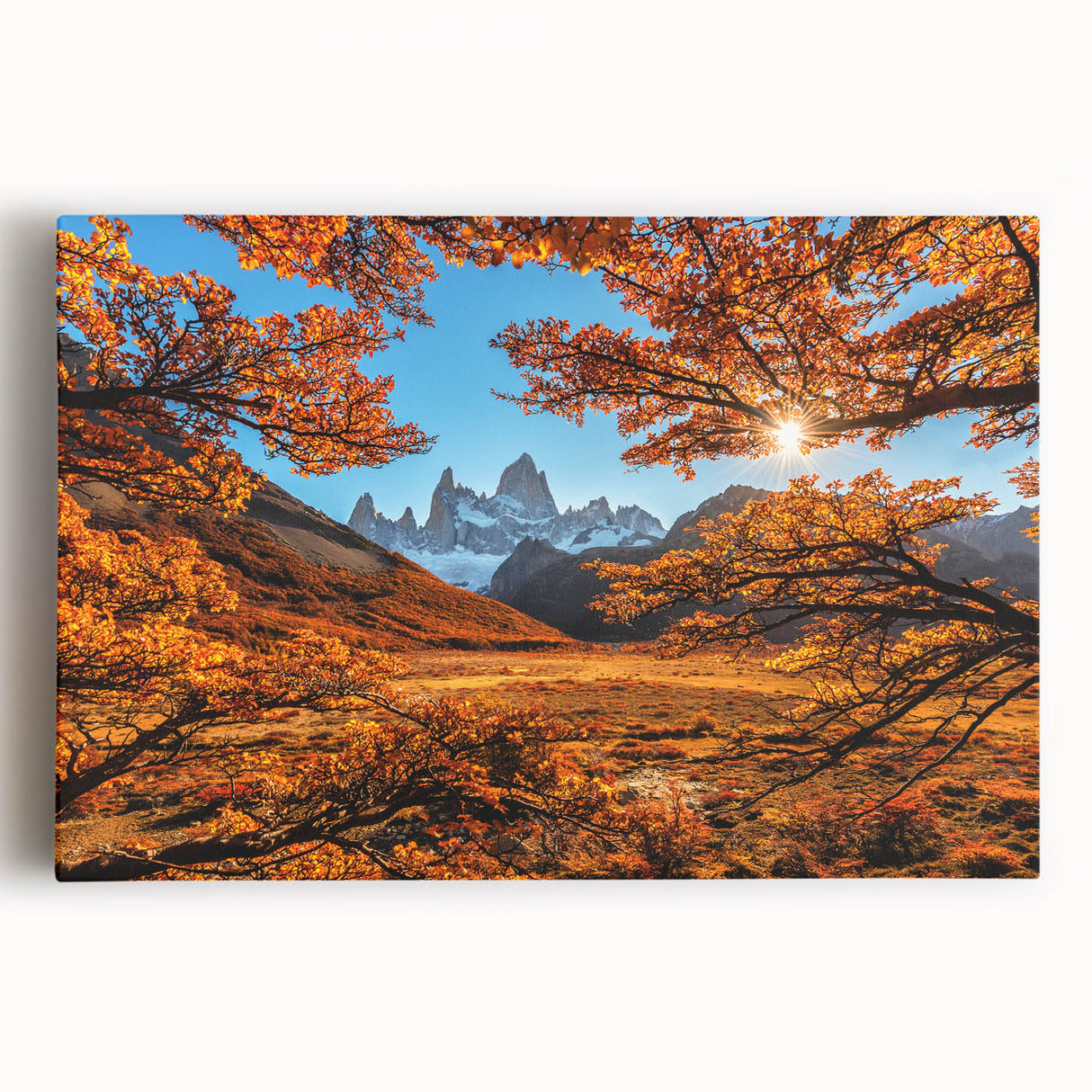 Black and white large art print of an Argentinian landscape on stretched canvas, suitable for kitchen wall art.