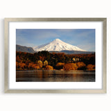 Textured abstract art print of a Chilean landscape in muted earth tones, framed in silver, ideal for bedroom art.