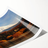 Extra large wall art featuring line art flowers in muted earth tones on a rolled print, suitable for large living room decor.