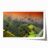Extra large rolled print of a vibrant Colombian landscape with lush greenery and floral elements.