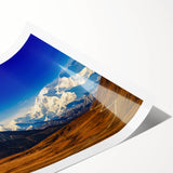 Extra large rolled print featuring line art flowers in soft pastel shades, ideal for large living room wall art.