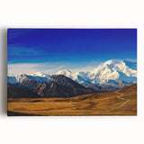 Black and white photograph of Denali, Alaska on stretched canvas, ideal for kitchen wall art.