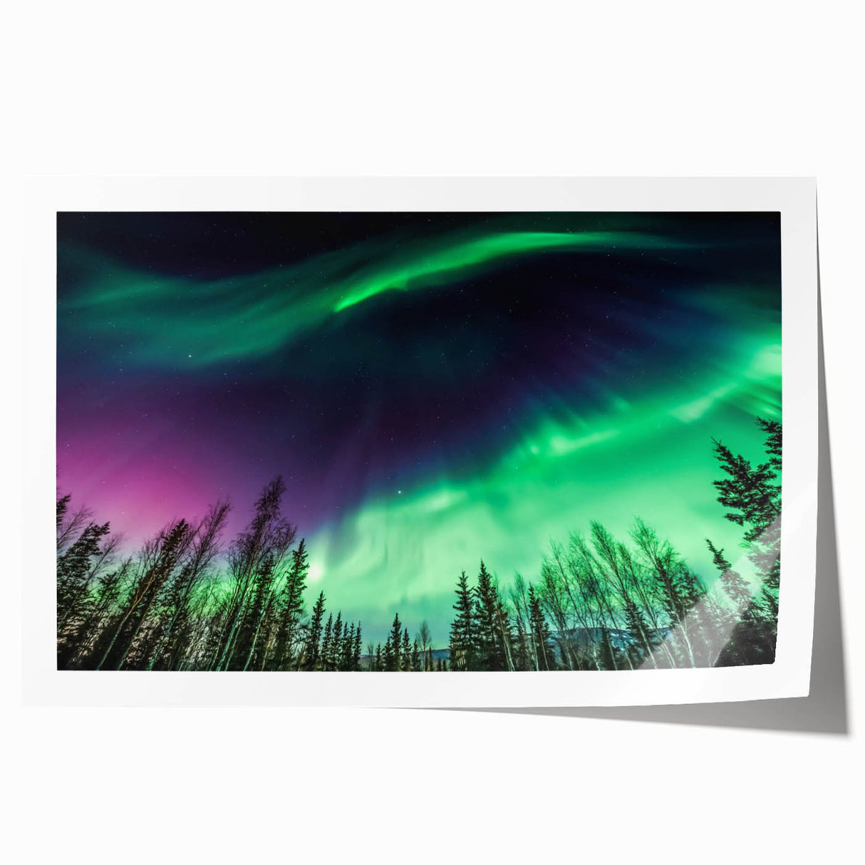 Scenic Alaska landscape on a rolled print, featuring muted earth tones, ideal for art wall dining room.