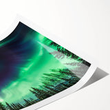 Extra large wall art featuring minimalist line art flowers in black and white, ideal for large living room decor.