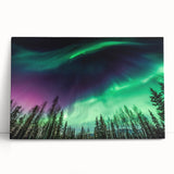 Black and white photograph of Alaskan scenery on stretched canvas, ideal for kitchen wall art or bedroom ambiance.