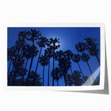 Rolled print of Beverly Hills scenery with floral elements in muted green and pink.