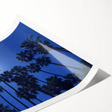 Extra large rolled print of line art flowers in black and white, ideal for large living room wall art.