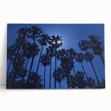 Black and white photograph of Beverly Hills palm trees on stretched canvas.