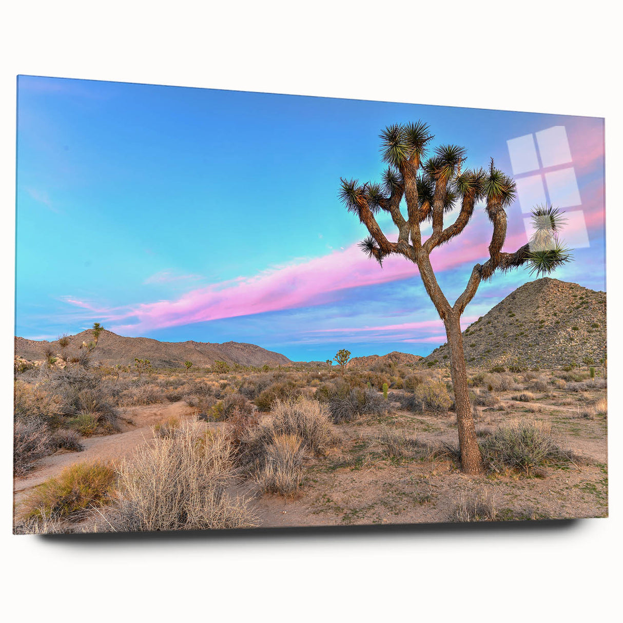 Large abstract wall art of Joshua Tree in muted earth tones on acrylic glass, suitable for bedroom or dining room decor.