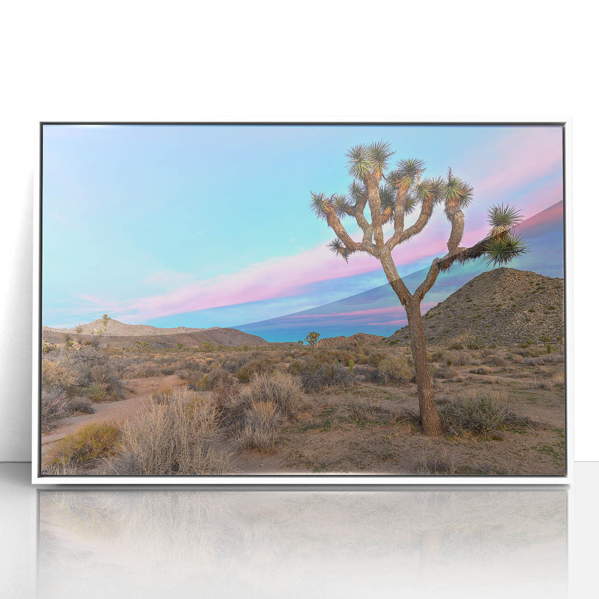 Acrylic framed print of Joshua Tree, featuring muted earth tones and minimalist style, suitable for modern art wall decor.