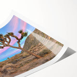 Extra large wall art featuring line art flowers and Joshua trees in black and white, ideal for large living room decor.