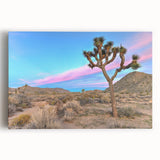 Black and white photo of Joshua Tree on stretched canvas, ideal for kitchen wall art.