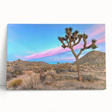 Black and white photograph of Joshua Tree on stretched canvas, ideal for kitchen wall art or bedroom ambiance.