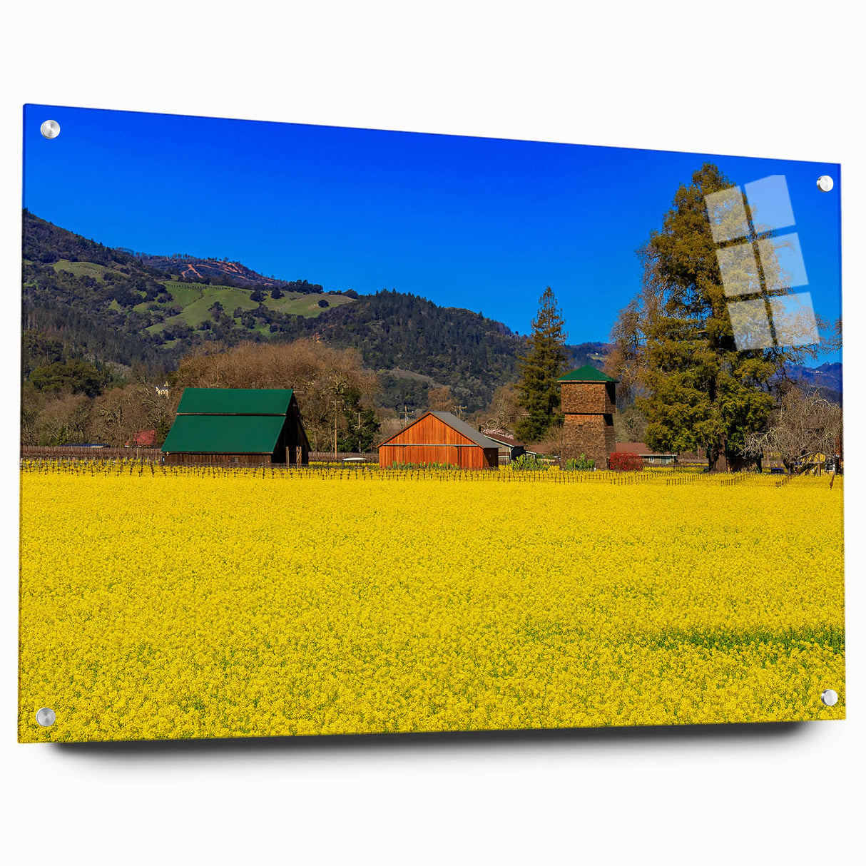 Acrylic print of Napa Valley landscape in muted earth tones, suitable for dining room or bedroom decor.
