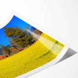 Extra large wall art featuring line art flowers in muted earth tones on a rolled canvas.