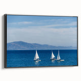 Black and white landscape art painting of Santa Barbara on a framed canvas, suitable for bedroom decor.