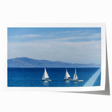 Extra large rolled print of a floral scene in Santa Barbara, with soft color tones, ideal for art wall dining room.