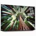 Acrylic print of a large abstract depiction of California's Sequoia trees in earthy green and brown tones.