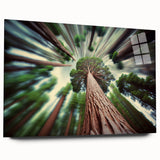 Large abstract wall art of California's Sequoia forest in muted earth tones on acrylic glass.