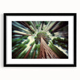 Extra large, colorful abstract art print of Sequoia trees on textured canvas, ideal for living room decor.