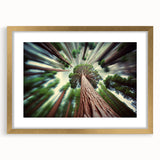 Extra large abstract art print of California sequoias in muted earth tones on a gold-framed canvas.