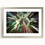 Textured art print of a California sequoia in muted earth tones on a silver framed canvas, suitable for bedroom decor.