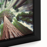 Extra large framed canvas of a textured California Sequoia scene in muted black and colorful accents.