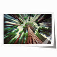 Extra large rolled print of California Sequoia scenery, with vivid green and earth tones, ideal for art wall dining room.
