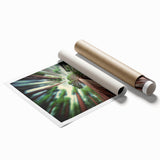 Extra large rolled print of a serene Sequoia forest in soft green and brown tones, ideal for classy bathroom wall art.