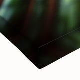 Black and white landscape art painting of California's Sequoia trees on stretched canvas, ideal for bedroom wall decor.