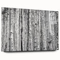 Acrylic print of a Colorado Aspen landscape in muted earth tones, suitable for bedroom or dining room decor.