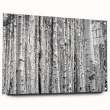 Acrylic print of a Colorado Aspen landscape in muted earth tones, suitable for bedroom or dining room decor.