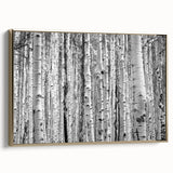 Framed canvas wall art depicting a serene Aspen, Colorado landscape in muted earth tones, ideal for bedroom decor.