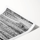 Extra large wall art featuring line art flowers in muted earth tones on a rolled canvas, ideal for large living room decor.