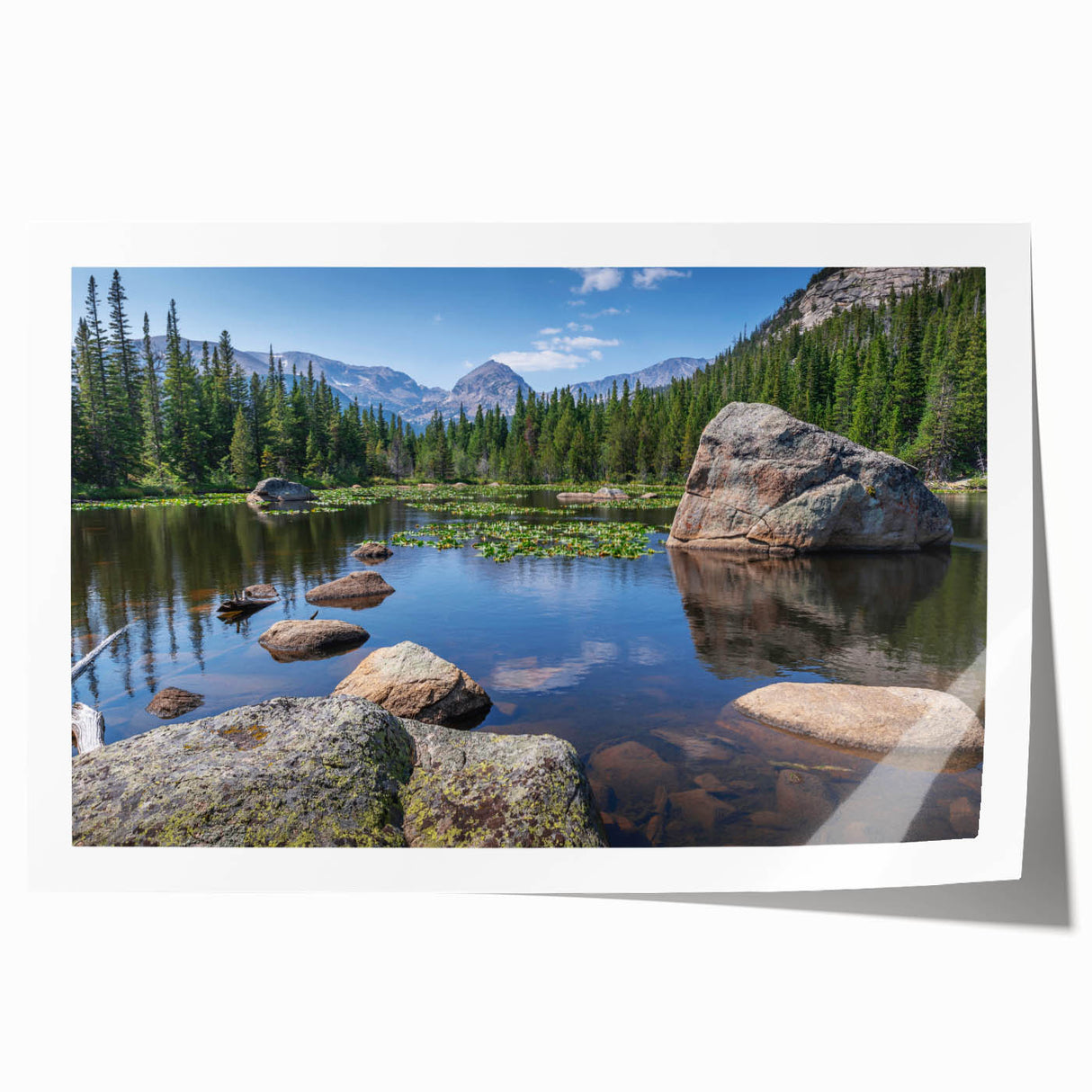 Rolled print of Boulder, Colorado scenery with floral elements in soft earth tones, suitable for dining room wall art.