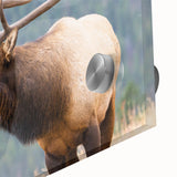 Large abstract wall art of the Rocky Mountains in muted earth tones on acrylic glass, ideal for dining room ambiance.