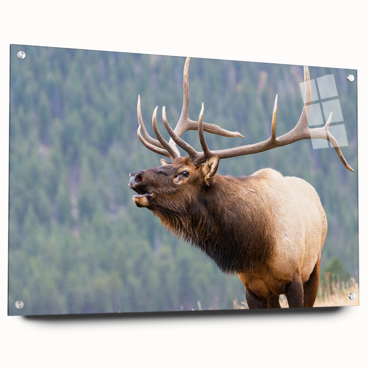 Acrylic print of the Rocky Mountains in soft earth tones, suitable for bedroom or dining room decor.