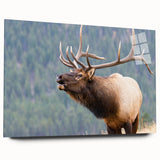 Acrylic print of the Rocky Mountains in muted earth tones, ideal for bedroom or dining room art.