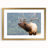 Extra large wall art depicting the textured Rocky Mountains in abstract style, framed in gold.