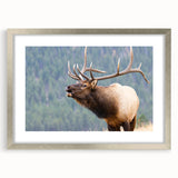 Textured art print of Colorado Rocky Mountains in muted earth tones on a framed canvas, suitable for bedroom decor.
