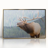 Framed acrylic print of the Rocky Mountains in gold tones, suitable for modern art wall decor or a nursery.