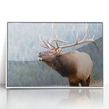 Acrylic print of the Colorado Rocky Mountains in muted earth tones, ideal for modern art wall decor.