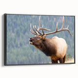 Black and white framed canvas of the Rocky Mountains, ideal for bedroom wall decor.