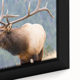 Extra large framed canvas featuring a textured depiction of the Colorado Rocky Mountains in colorful art tones.