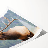 Extra large wall art featuring a line art design of flowers in muted earth tones on a rolled canvas.