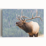 Black and white photograph of the Rocky Mountains on stretched canvas, ideal for kitchen wall art.