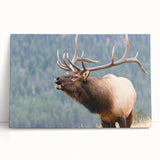 Black and white photograph of the Rocky Mountains on stretched canvas, ideal for kitchen wall art or bedroom decor.