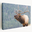 Large canvas print depicting the Rocky Mountains in Colorado, featuring earthy green and brown tones.