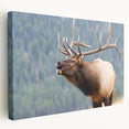 Large canvas print depicting the Rocky Mountains in Colorado, featuring earthy green and brown tones.